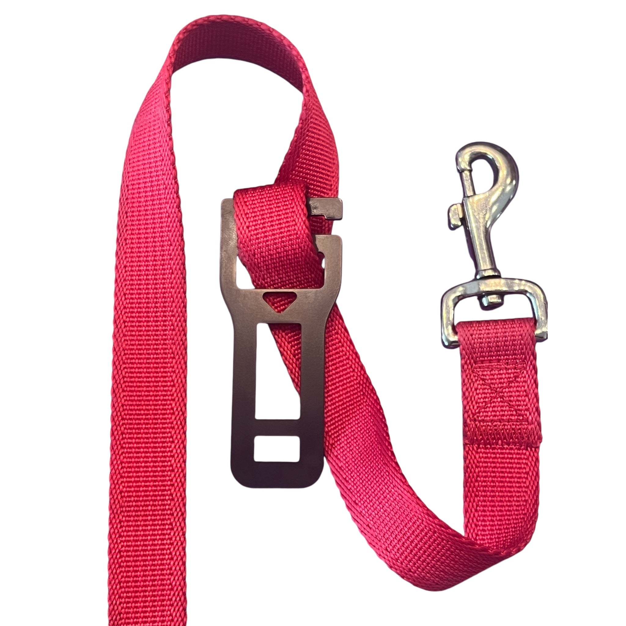 Fashion leash lock