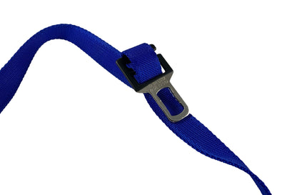 LeashLock on leash